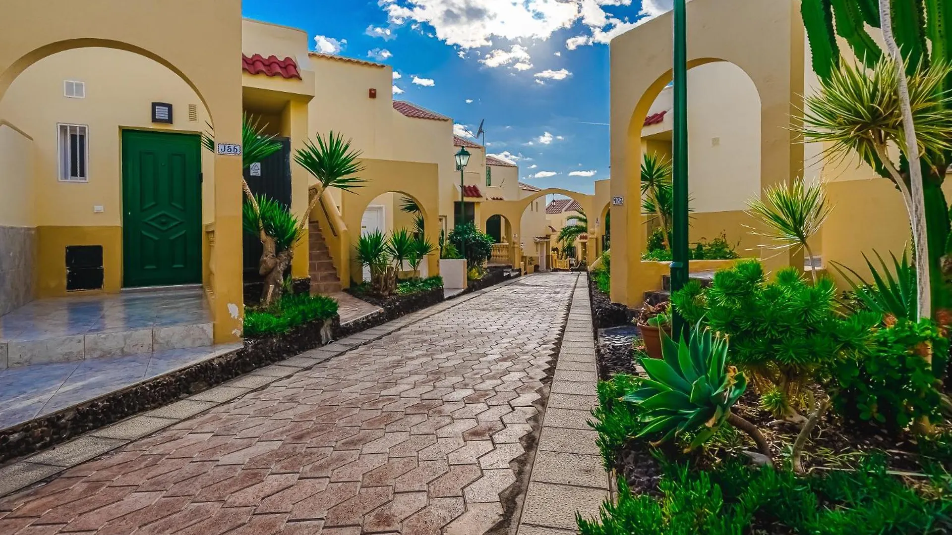 Cozy Spacious Seaview 300M Beach Costa Adeje  Apartment